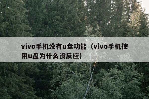 vivo手机没有u盘功能（vivo手机使用u盘为什么没反应）