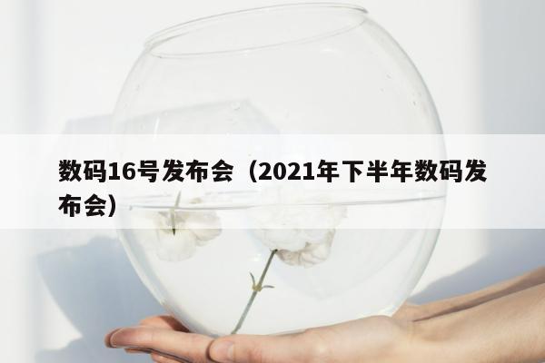 数码16号发布会（2021年下半年数码发布会）