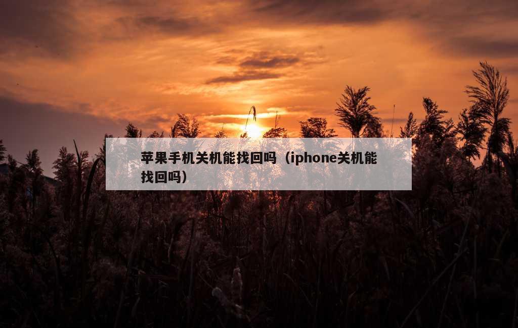 苹果手机关机能找回吗（iphone关机能找回吗）