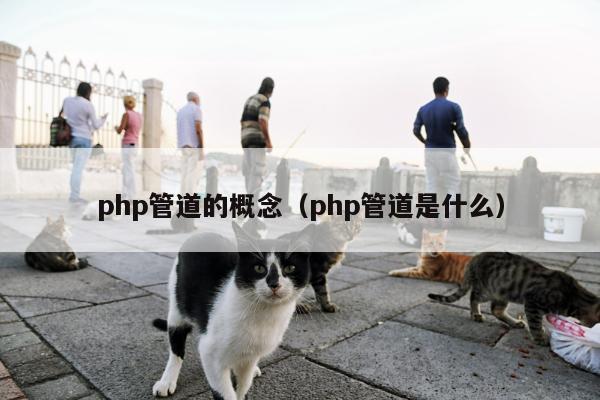 php管道的概念（php管道是什么）