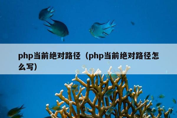 php当前绝对路径（php当前绝对路径怎么写）