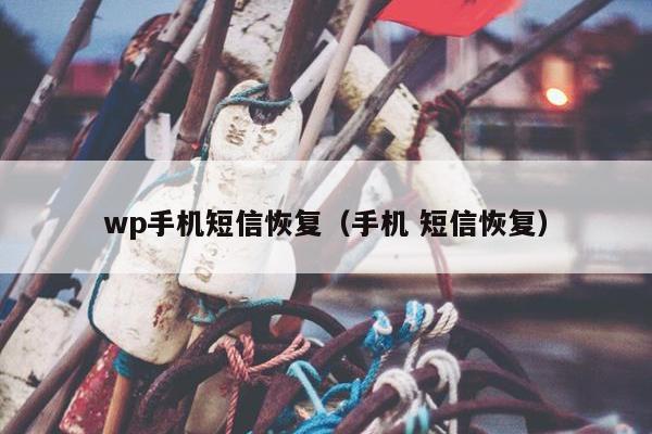 wp手机短信恢复（手机 短信恢复）