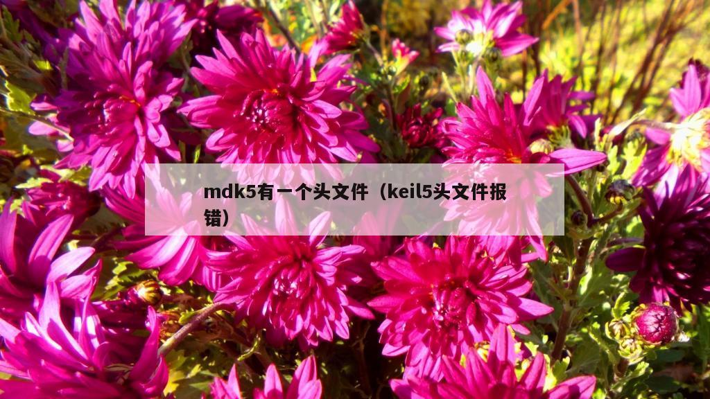 mdk5有一个头文件（keil5头文件报错）