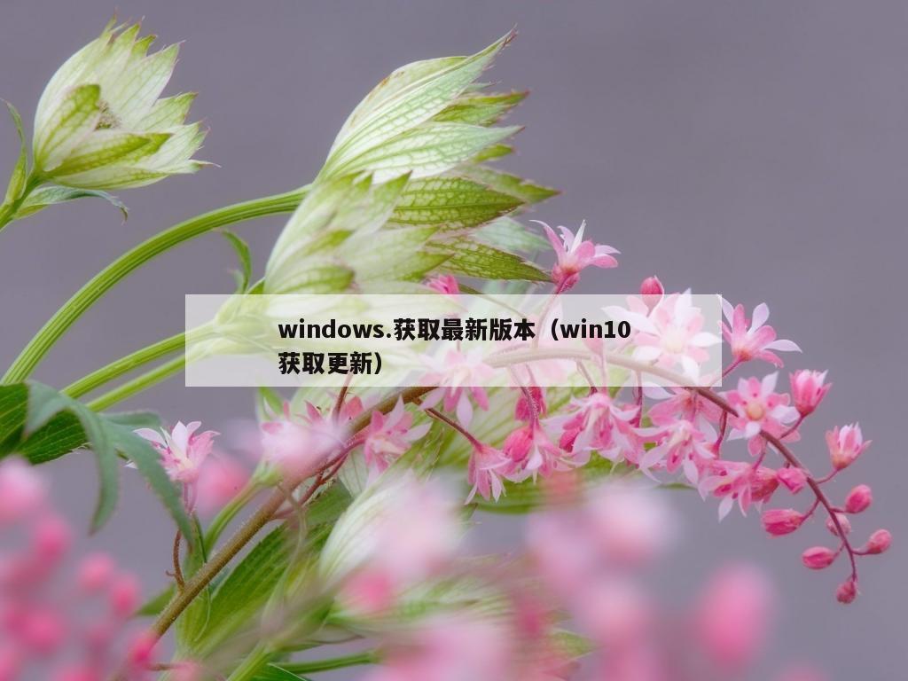 windows.获取最新版本（win10获取更新）