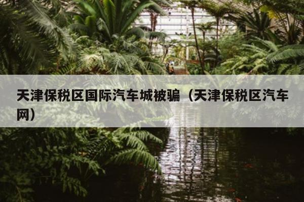 天津保税区国际汽车城被骗（天津保税区汽车网）