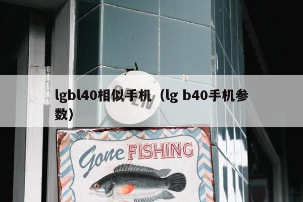 lgbl40相似手机（lg b40手机参数）