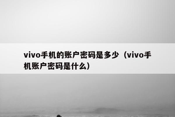 vivo手机的账户密码是多少（vivo手机账户密码是什么）