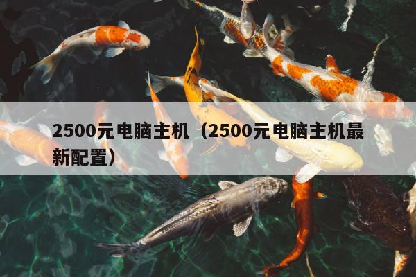 2500元电脑主机（2500元电脑主机最新配置）