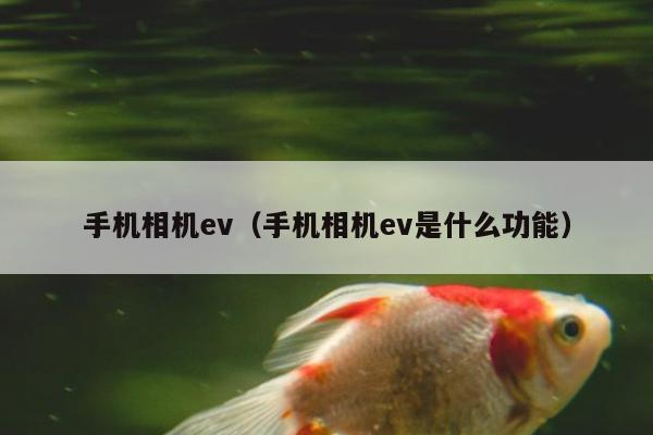 手机相机ev（手机相机ev是什么功能）