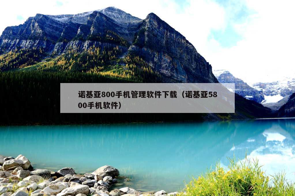 诺基亚800手机管理软件下载（诺基亚5800手机软件）