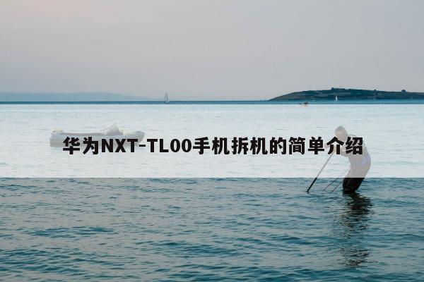 华为NXT-TL00手机拆机的简单介绍