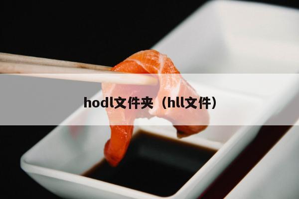 hodl文件夹（hll文件）