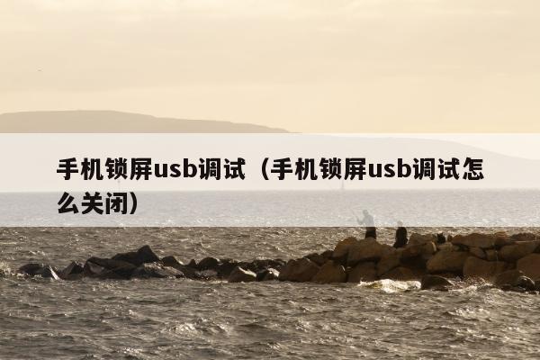 手机锁屏usb调试（手机锁屏usb调试怎么关闭）