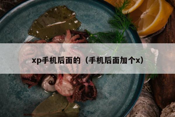 xp手机后面的（手机后面加个x）