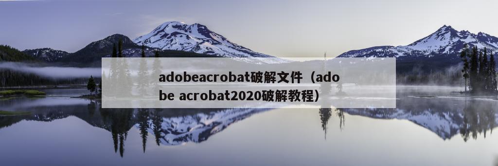 adobeacrobat破解文件（adobe acrobat2020破解教程）