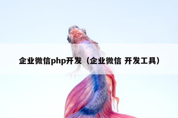 企业微信php开发（企业微信 开发工具）