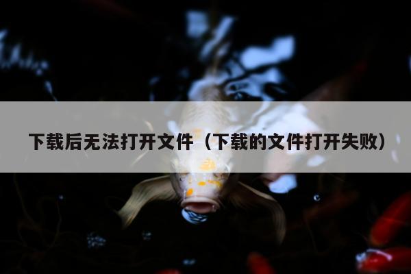 下载后无法打开文件（下载的文件打开失败）