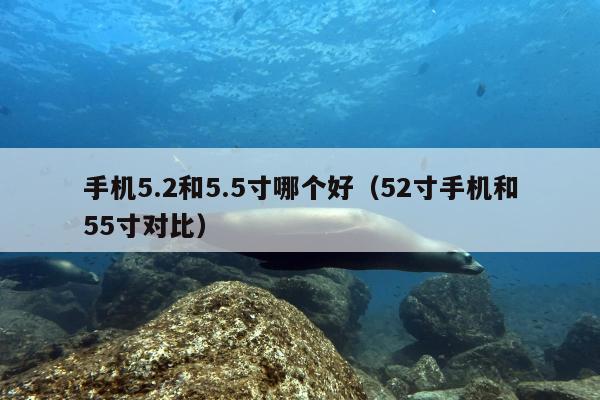 手机5.2和5.5寸哪个好（52寸手机和55寸对比）