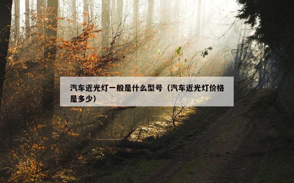 汽车近光灯一般是什么型号（汽车近光灯价格是多少）