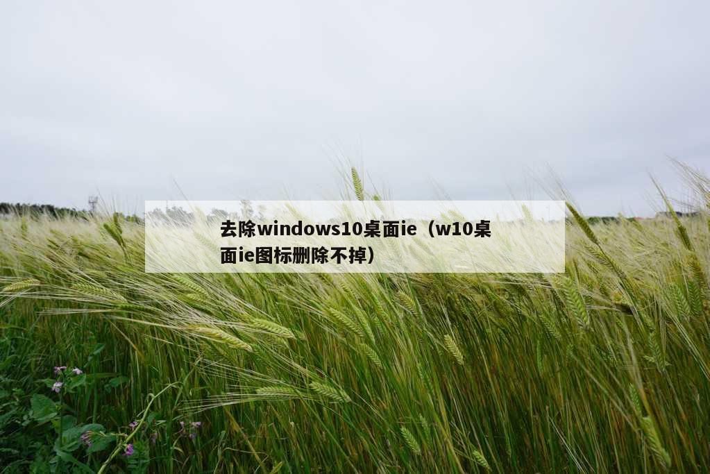 去除windows10桌面ie（w10桌面ie图标删除不掉）