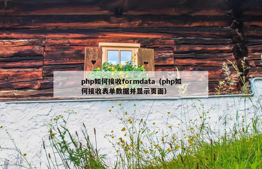 php如何接收formdata（php如何接收表单数据并显示页面）