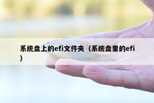 系统盘上的efi文件夹（系统盘里的efi）