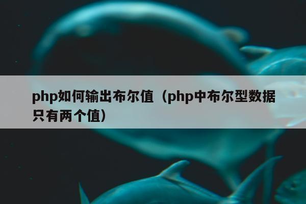 php如何输出布尔值（php中布尔型数据只有两个值）