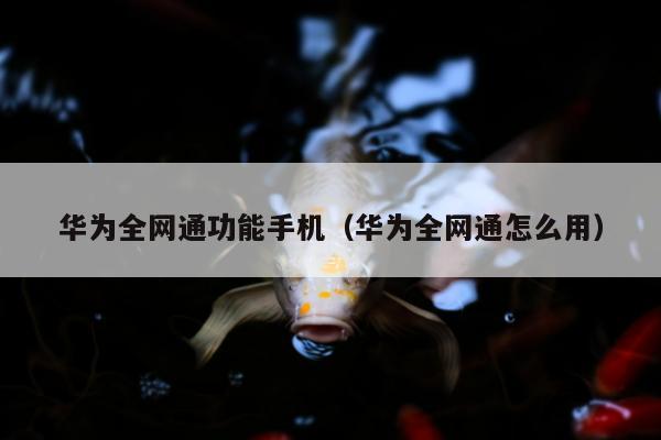 华为全网通功能手机（华为全网通怎么用）