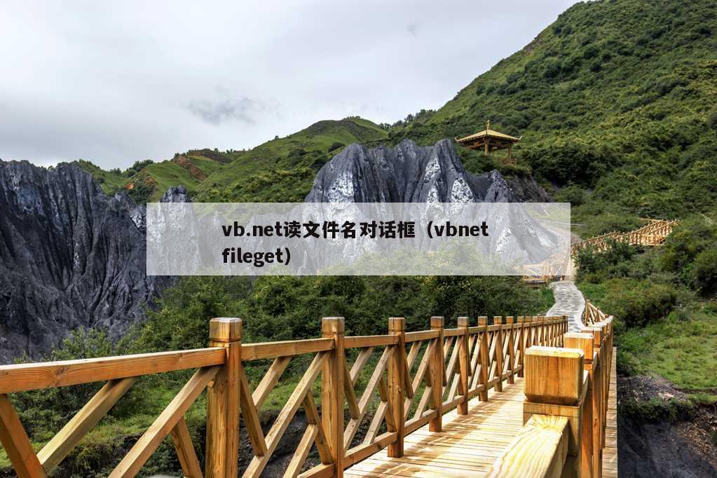 vb.net读文件名对话框（vbnet fileget）