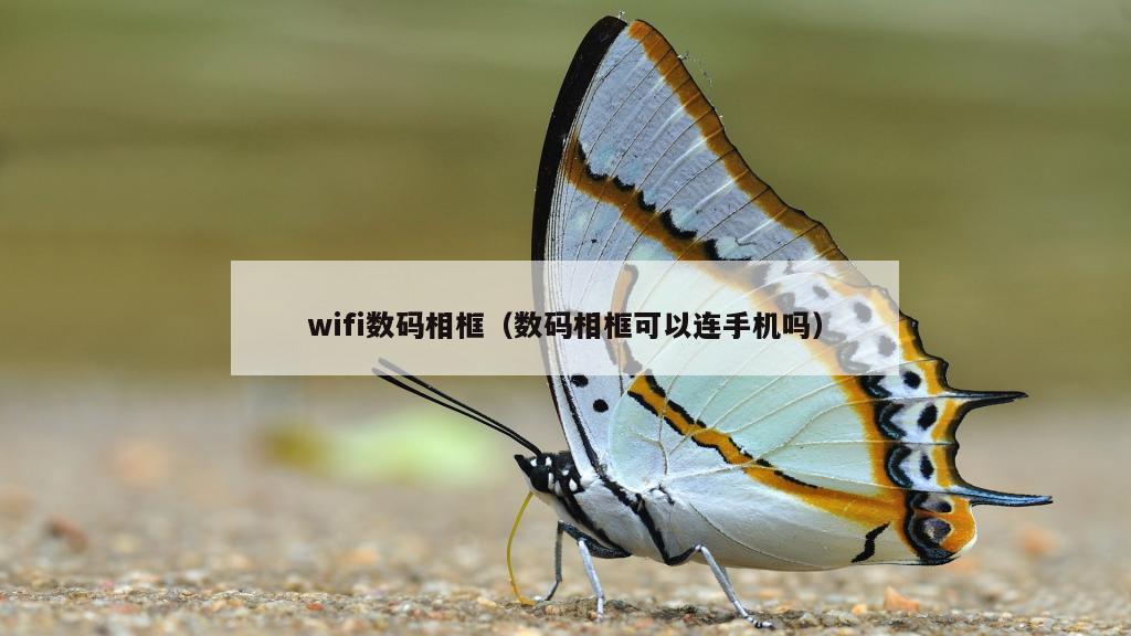 wifi数码相框（数码相框可以连手机吗）