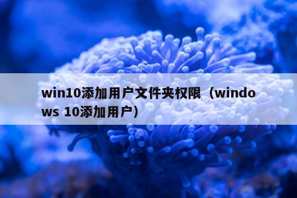 win10添加用户文件夹权限（windows 10添加用户）