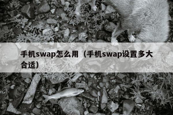 手机swap怎么用（手机swap设置多大合适）