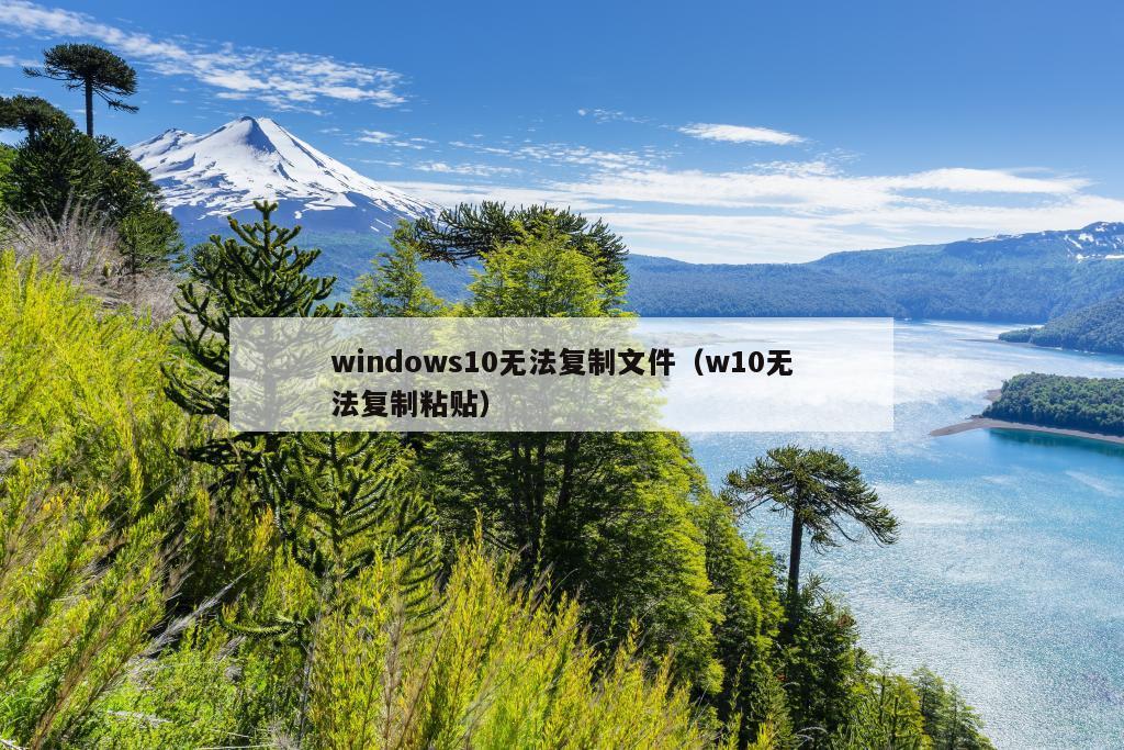 windows10无法复制文件（w10无法复制粘贴）