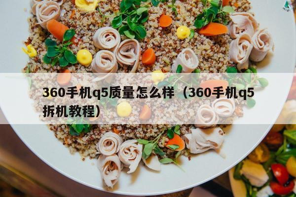 360手机q5质量怎么样（360手机q5拆机教程）