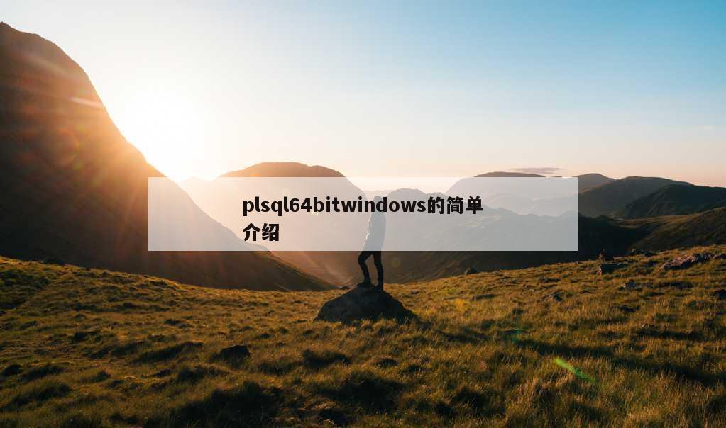 plsql64bitwindows的简单介绍