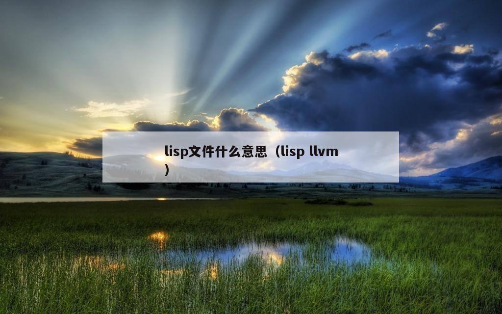 lisp文件什么意思（lisp llvm）