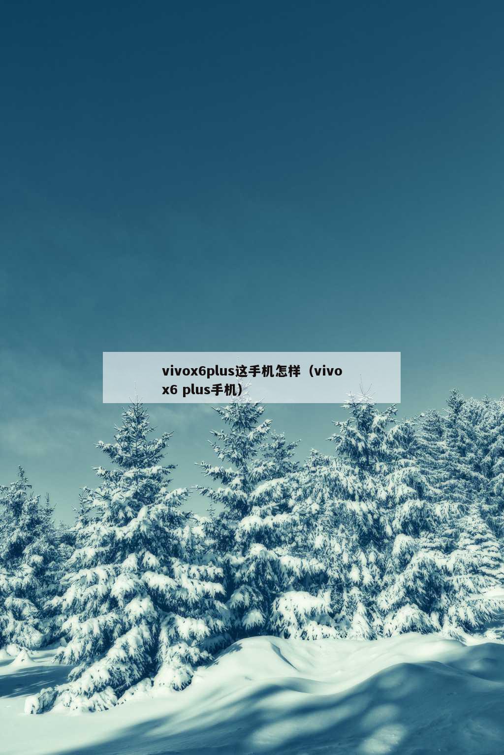 vivox6plus这手机怎样（vivox6 plus手机）