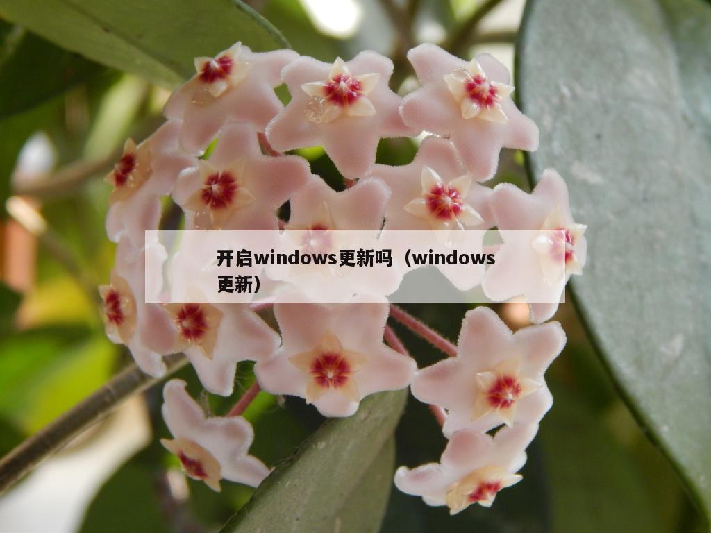 开启windows更新吗（windows更新）