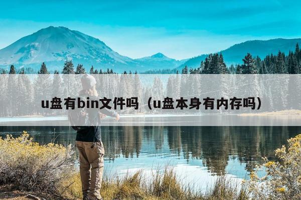 u盘有bin文件吗（u盘本身有内存吗）