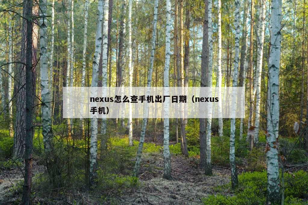 nexus怎么查手机出厂日期（nexus手机）