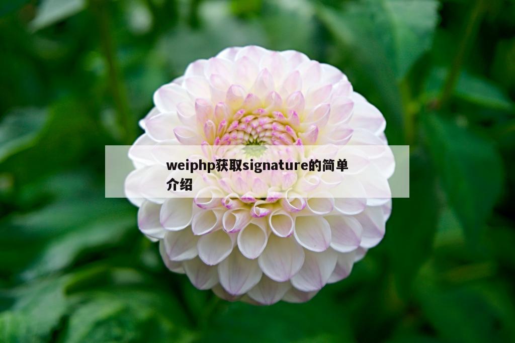 weiphp获取signature的简单介绍