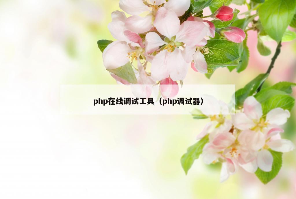 php在线调试工具（php调试器）