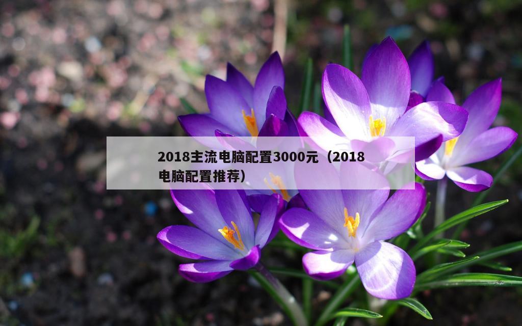 2018主流电脑配置3000元（2018电脑配置推荐）