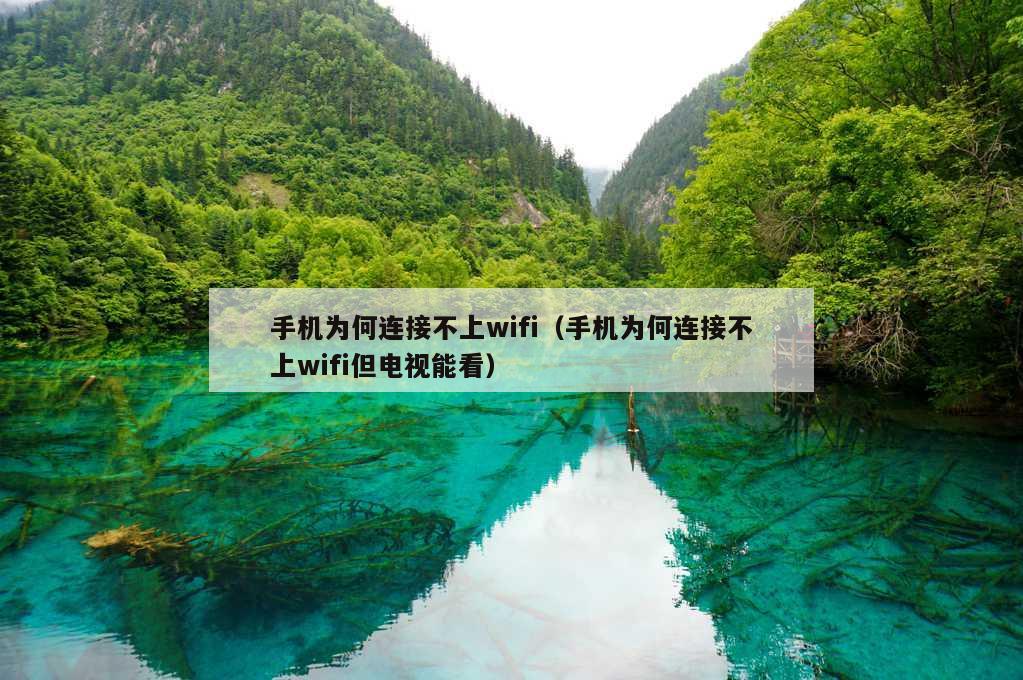 手机为何连接不上wifi（手机为何连接不上wifi但电视能看）