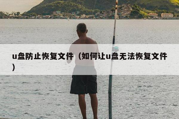 u盘防止恢复文件（如何让u盘无法恢复文件）