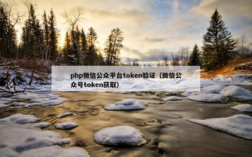 php微信公众平台token验证（微信公众号token获取）