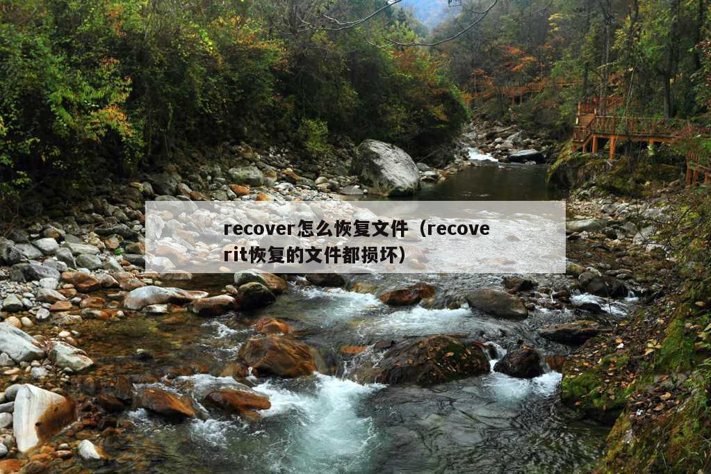 recover怎么恢复文件（recoverit恢复的文件都损坏）