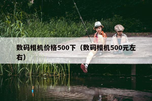 数码相机价格500下（数码相机500元左右）