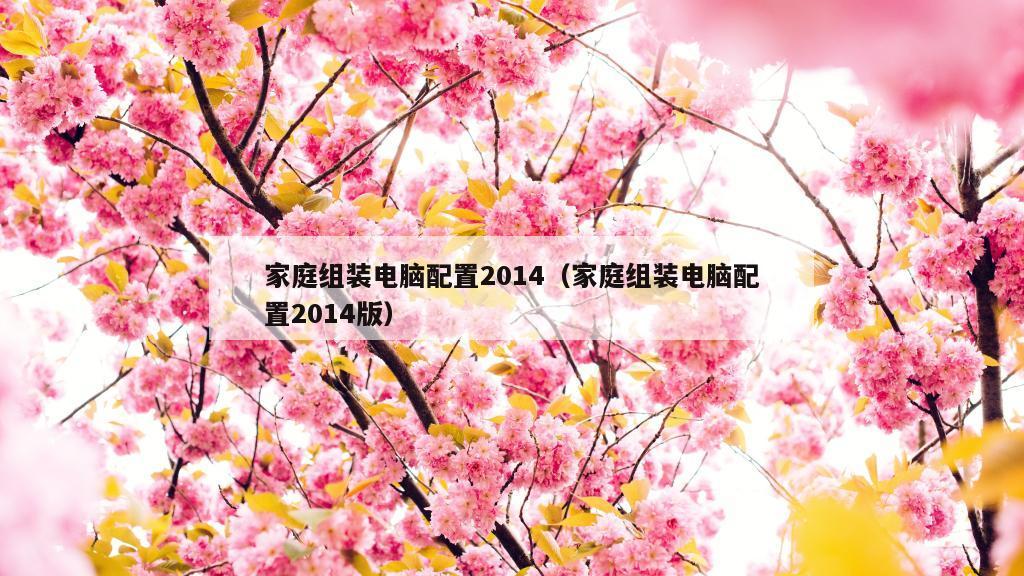 家庭组装电脑配置2014（家庭组装电脑配置2014版）