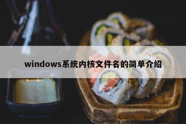 windows系统内核文件名的简单介绍